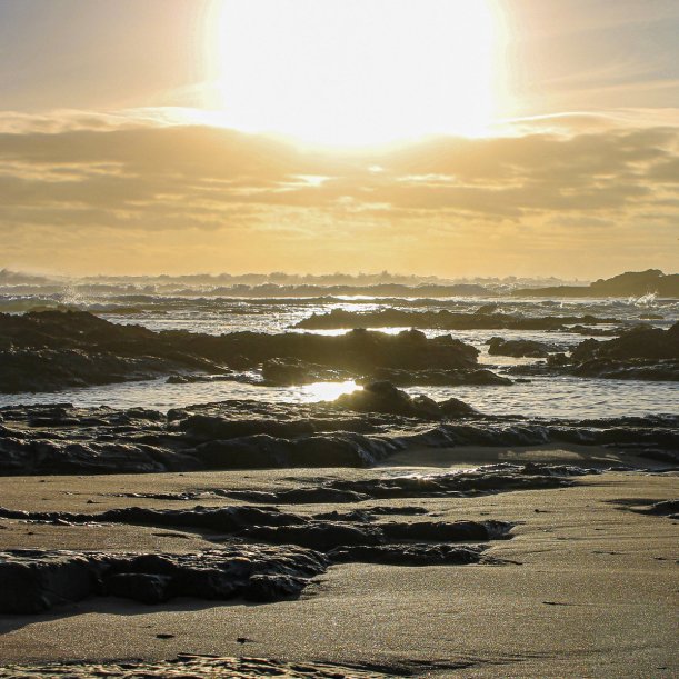 GALLO : HIDDEN INSIDE : HELL YEAH RECORDINGS