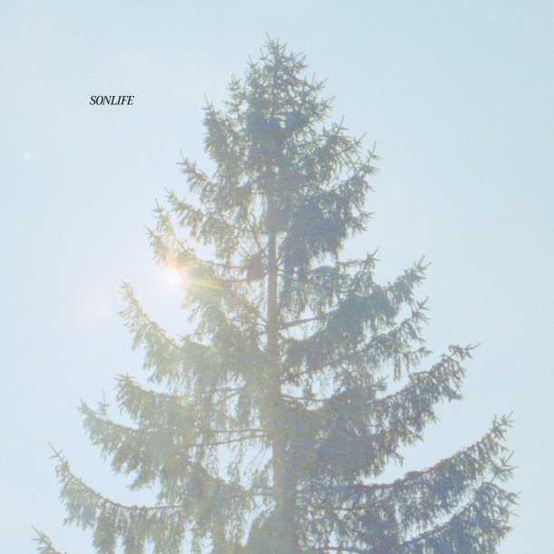 Sonlife Tree