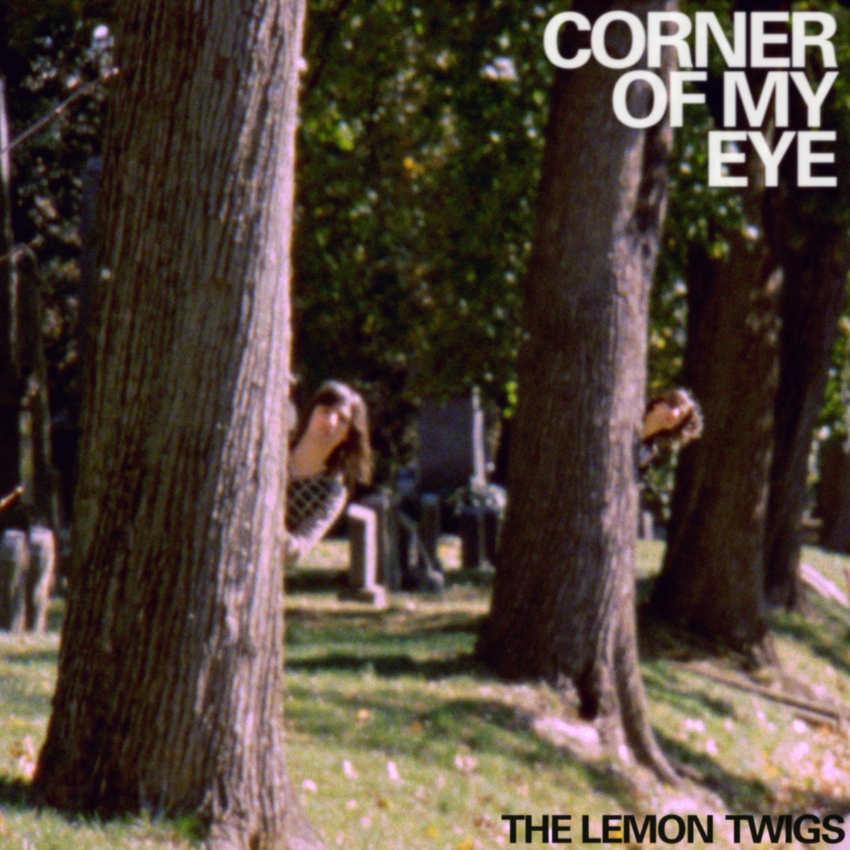 The Lemon Twigs : Corner Of My Eye