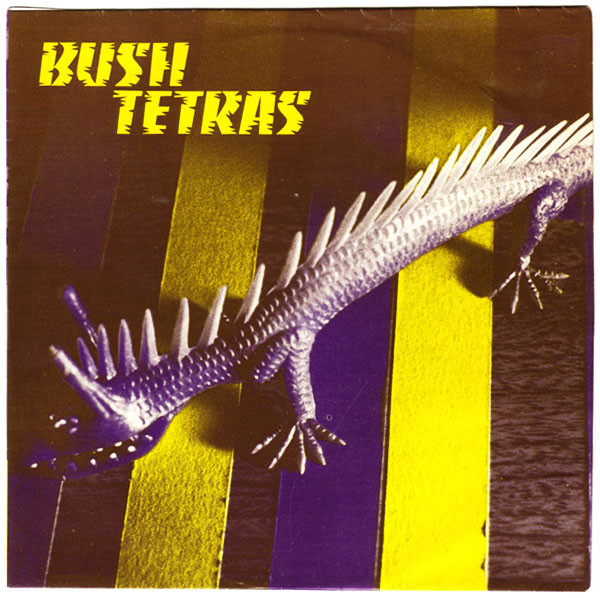 bush tetras snakes crawl
