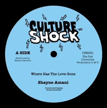 Shayne Amani &amp; The Dub Chronicles