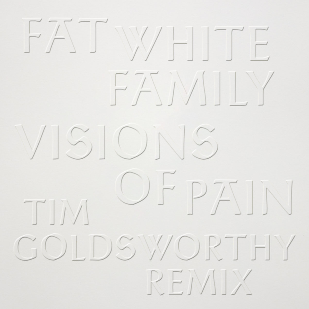 The Fat White Family : Visions of Pain (Tim Goldsworthy Remix)