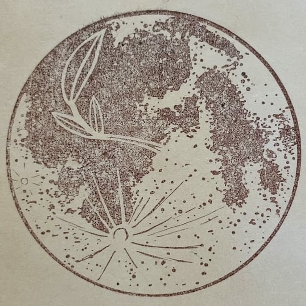 Hidden Sequence : Silent Roots